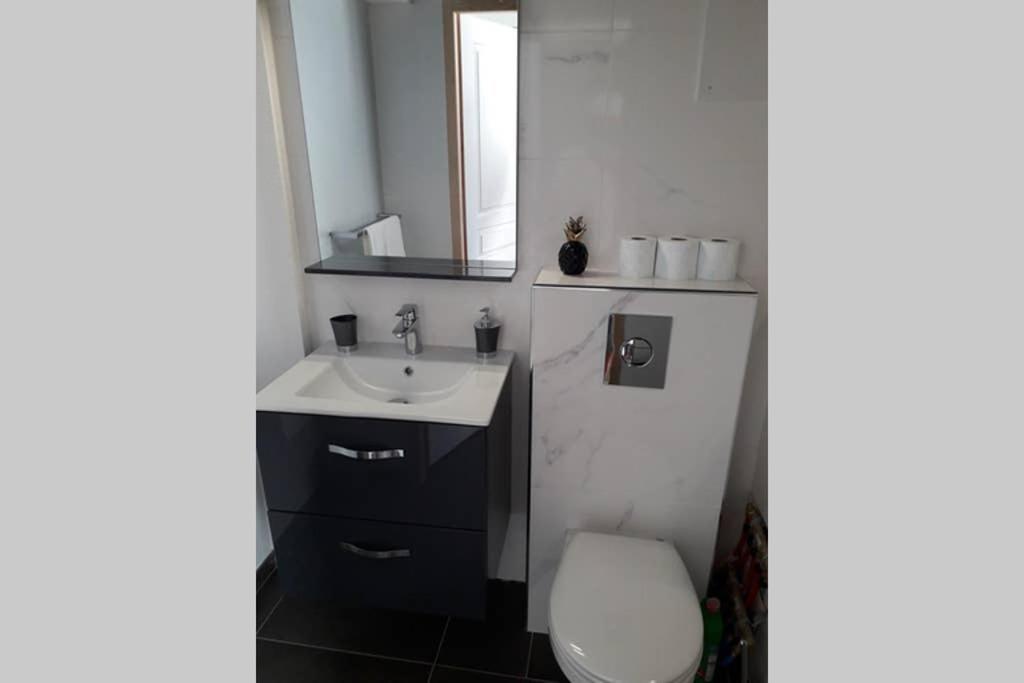 Logement neuf de 40 m², équipé et confortable Croix-Chapeau Extérieur photo